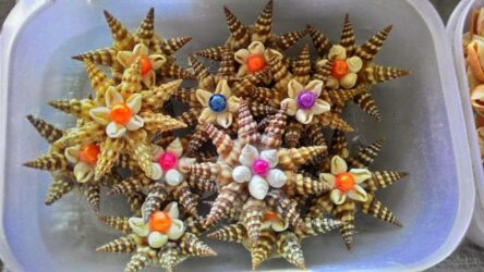 Hiasan Dinding Dari Kerang